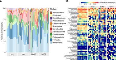 Distinctive microbiota distribution from healthy oral to post-treatment <mark class="highlighted">apical periodontitis</mark>